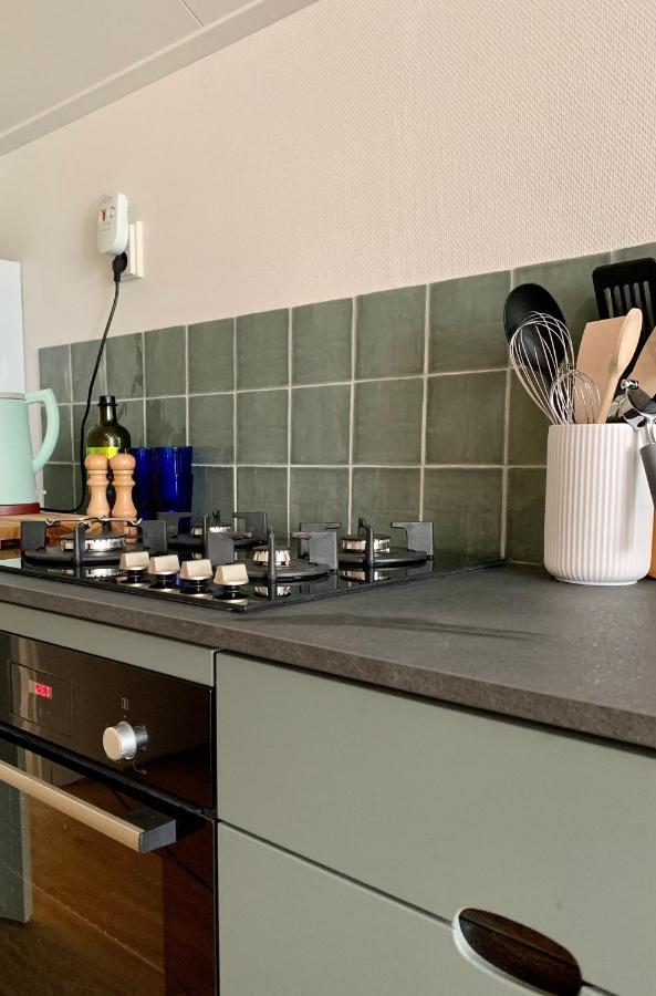 Daalders Plakkie Villa Elahuizen Kültér fotó