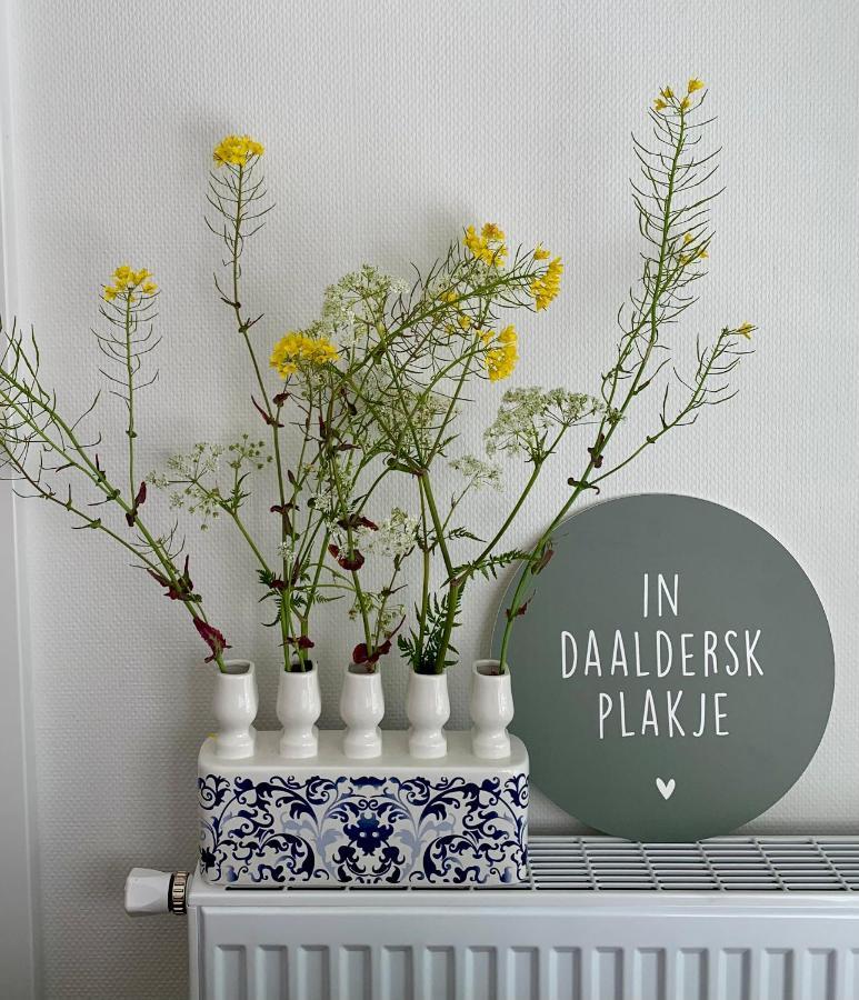 Daalders Plakkie Villa Elahuizen Kültér fotó